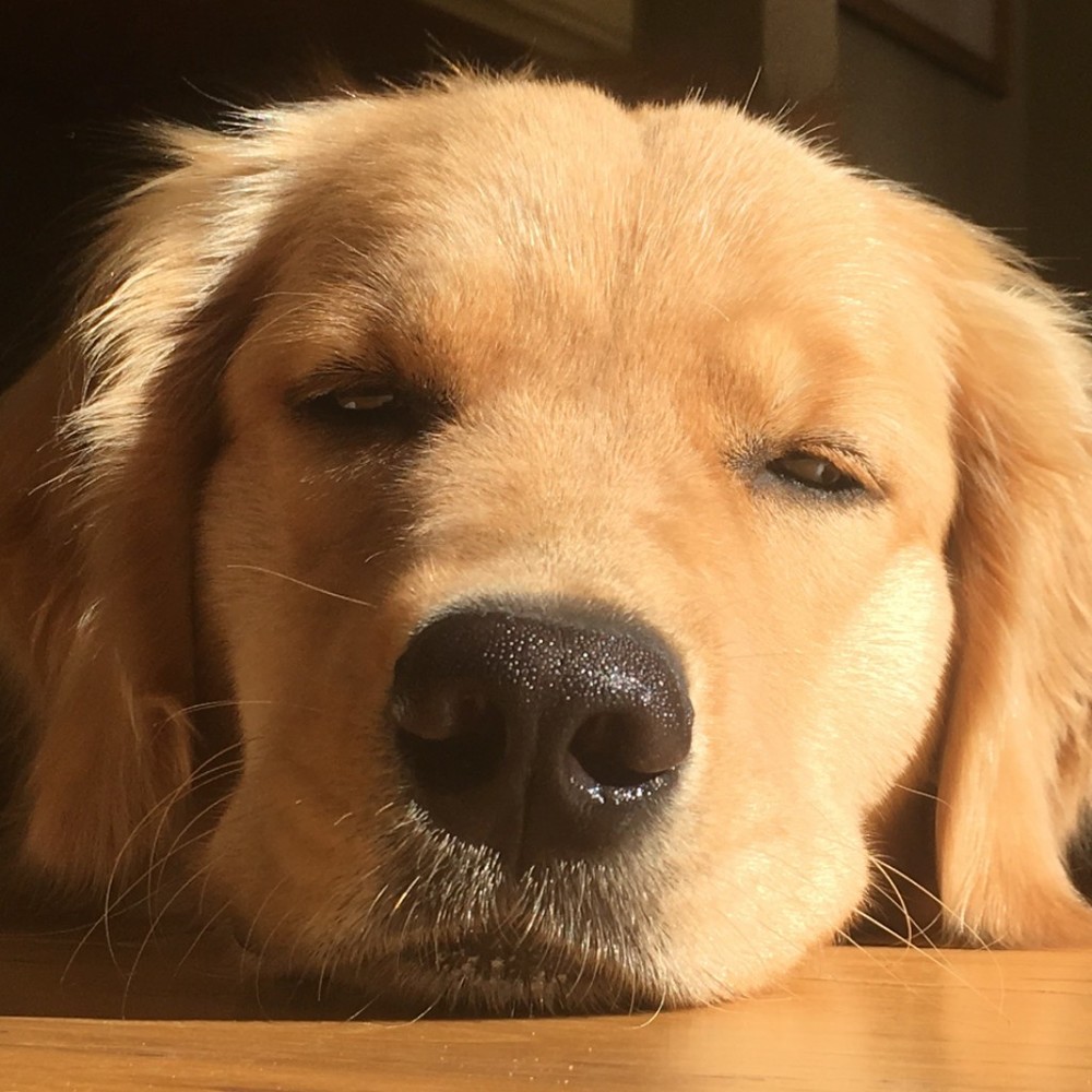 Meet your Posher, Zoe